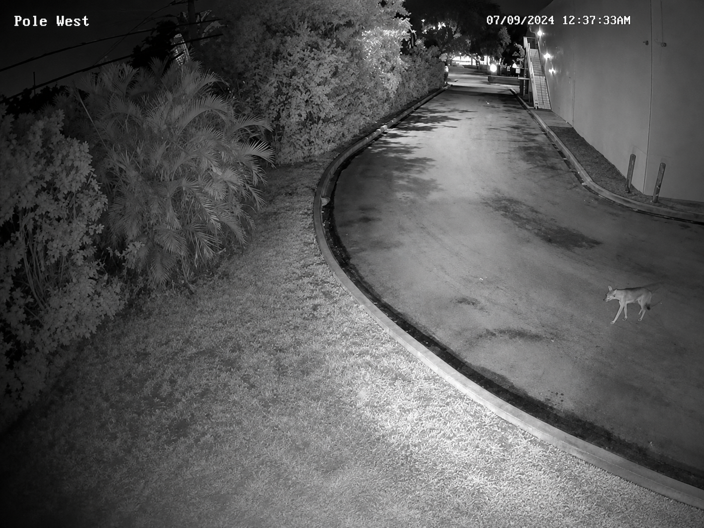Empty site captured by CCTV at night